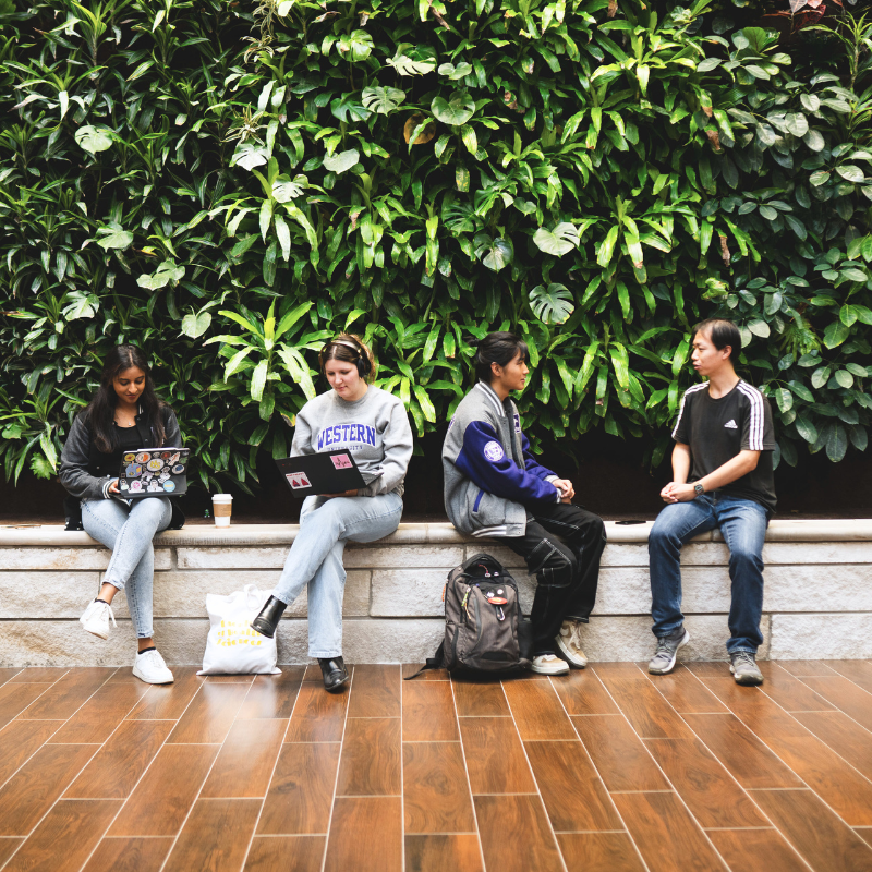 Four students sit in front of a plant wall.